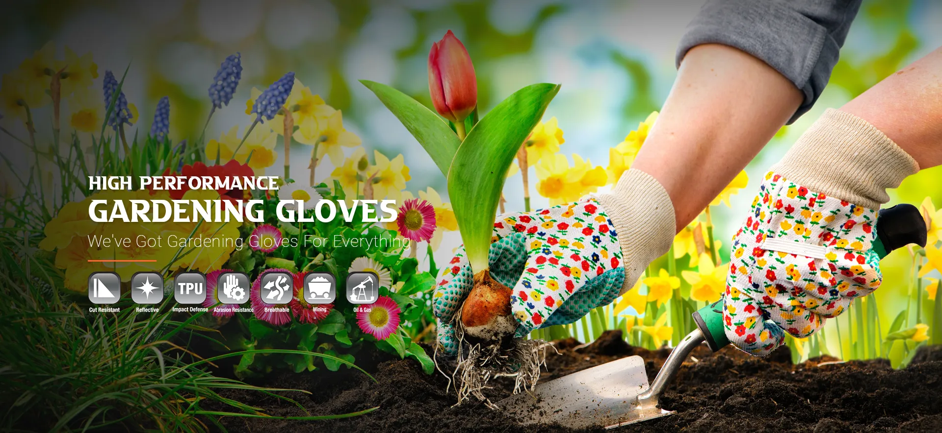 banner06_130825_bimg