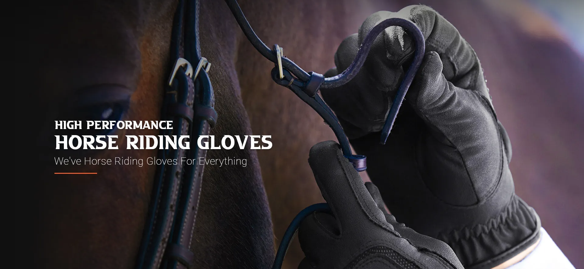 banner07_7EF583_bimg